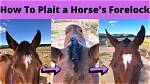 Do Horses Forelocks Grow Back?