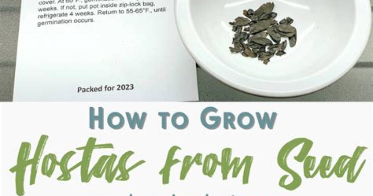 Do Hostas Seed Themselves