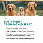 Do House Training Sprays Work?