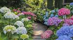 Do Hydrangeas Like Full Sun?