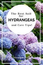 Do Hydrangeas Need Ericaceous Soil?