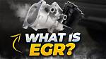 Do I Need Egr?