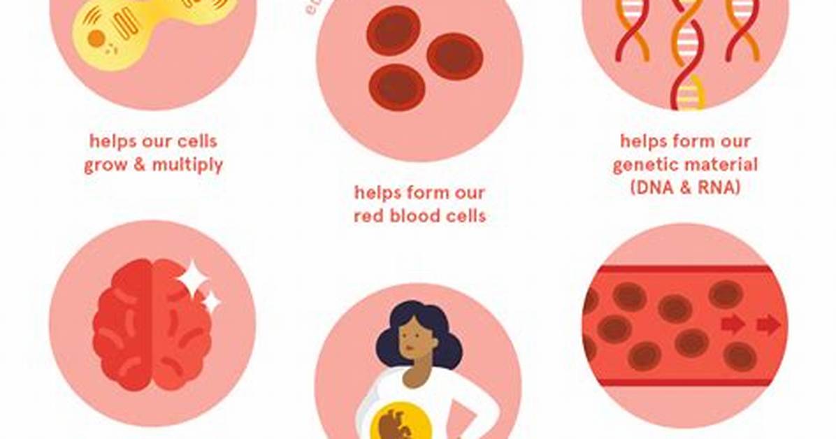 Do I Need Folate?
