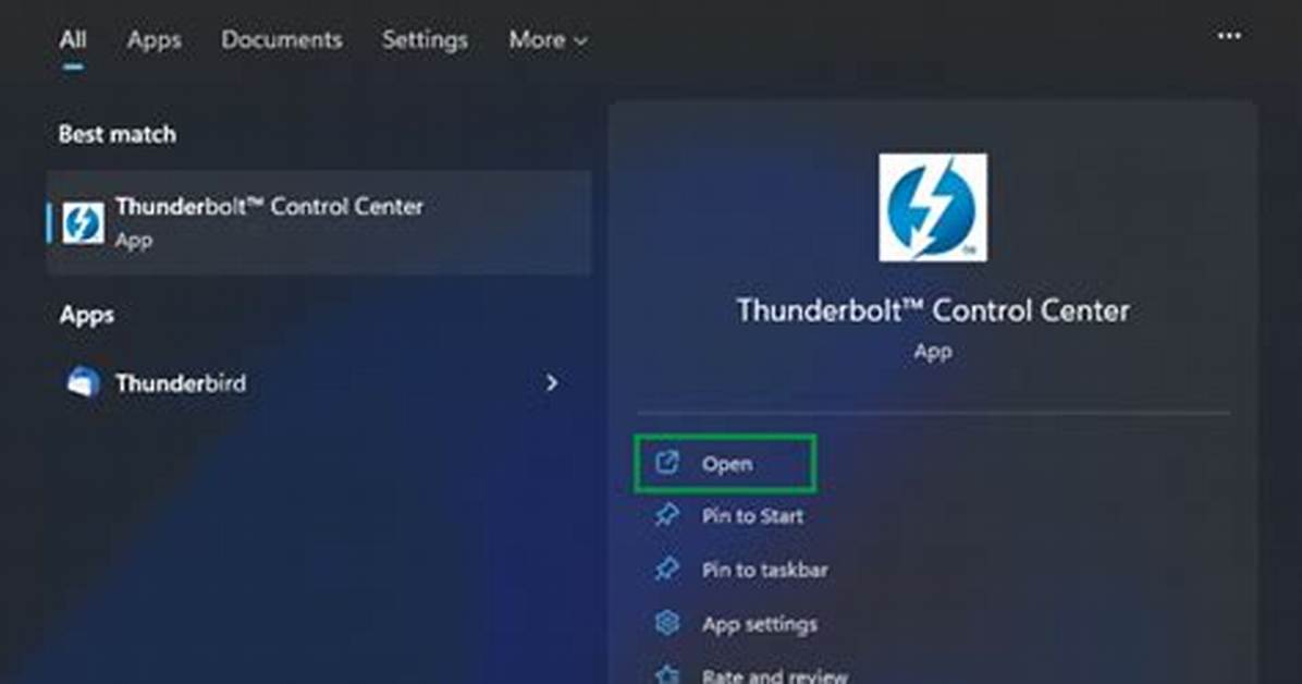 Do I Need Thunderbolt Software?