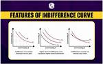Do Indifference Curves Intersect?