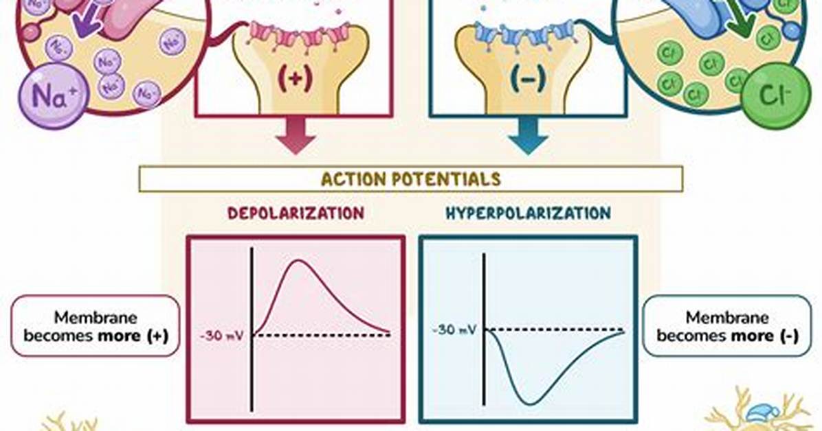 Do Inhibitory Signals Decrease Polarization?