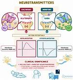 Do Inhibitory Signals Decrease Polarization?