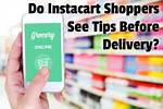 Do Instacart Shoppers See Tips Before Delivery?
