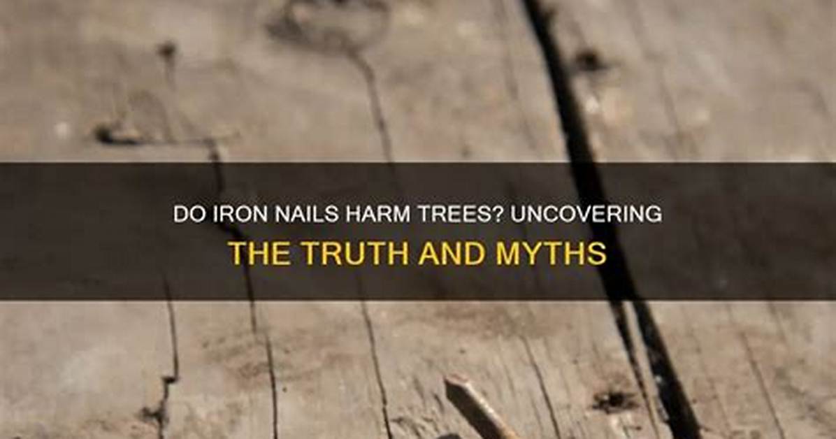Do Iron Nails Kill Trees?