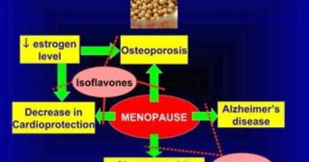 Do Isoflavones Decrease Estrogen?