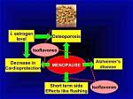 Do Isoflavones Decrease Estrogen?