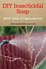 Do It Yourself Insecticidal Soap?