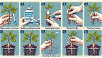 Do It Yourself Rooting Hormone?