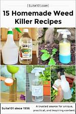 Do It Yourself Weed Killer?