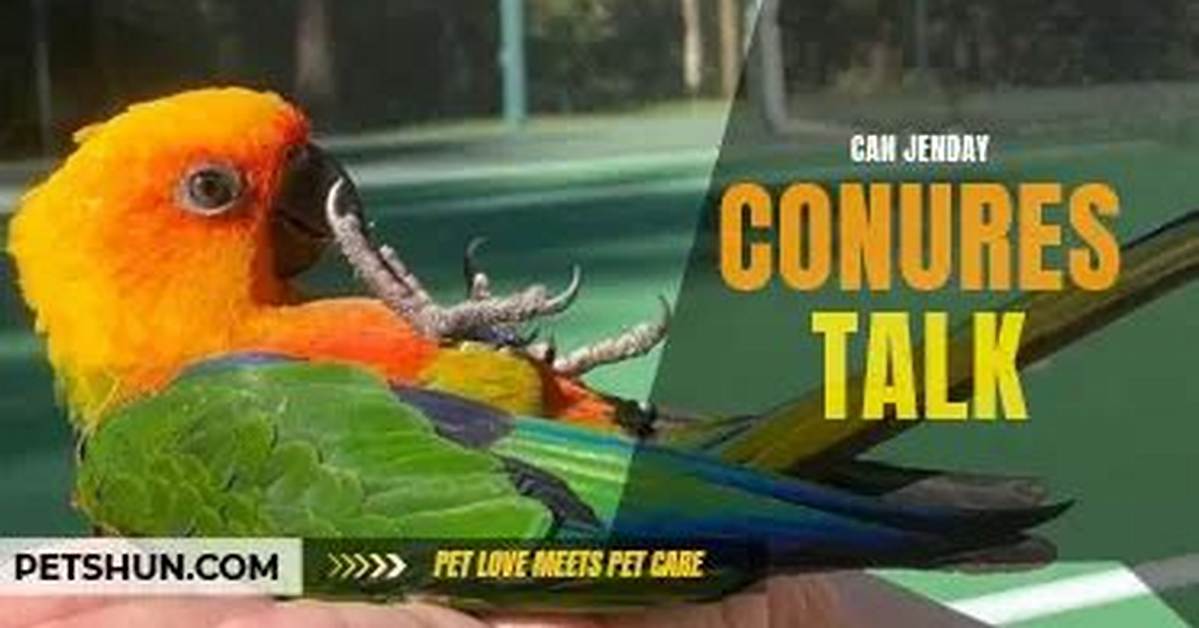Do Jenday Conures Talk?