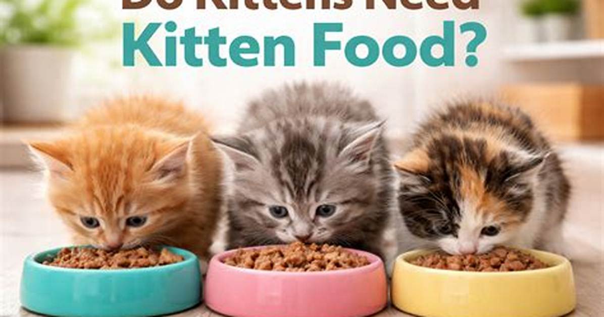 Do Kittens Need Warmth