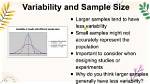 Do Larger Samples Have Less Variability?