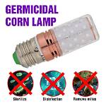 Do Led Lights Kill Bacteria