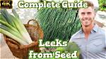 Do Leeks Have Seeds