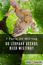 Do Leopard Geckos Need Misting?