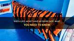 Do Life Jackets Expire?