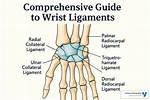 Do Ligaments Allow Movement