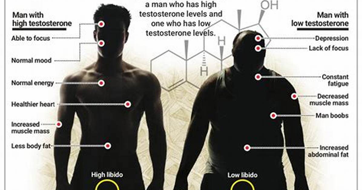 Do Lignans Lower Testosterone?