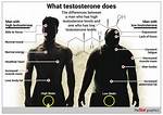 Do Lignans Lower Testosterone?
