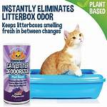 Do Litter Boxes Smell?