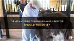 Do Llamas Need Shearing?