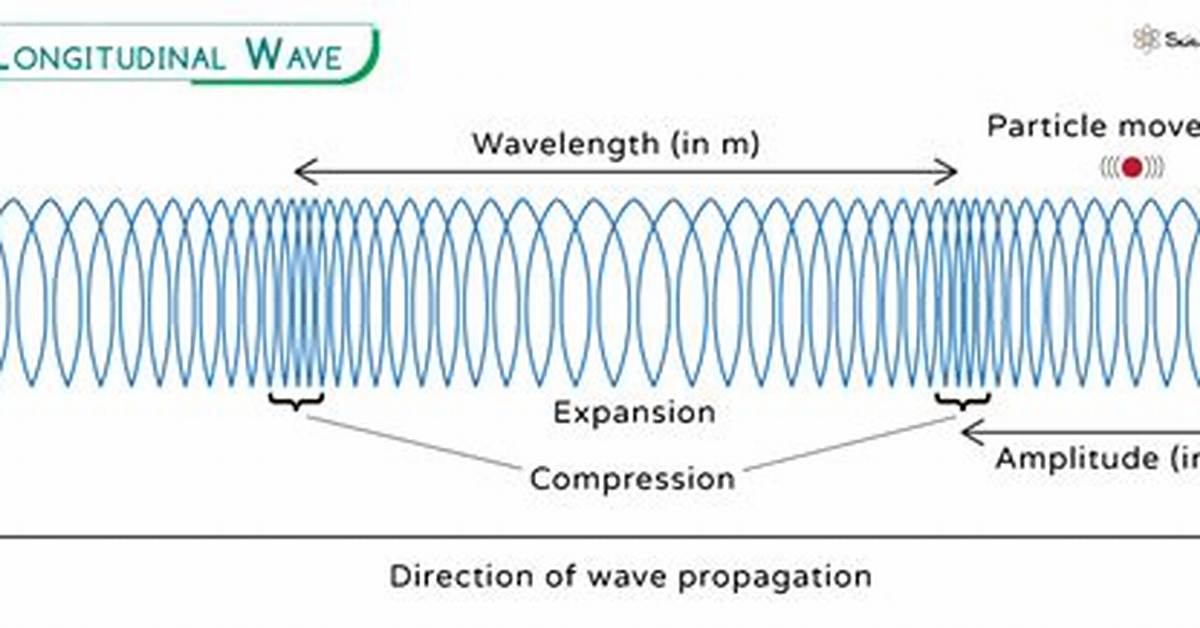 Do Longitudinal Waves Require a Medium