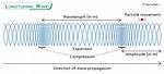 Do Longitudinal Waves Require a Medium