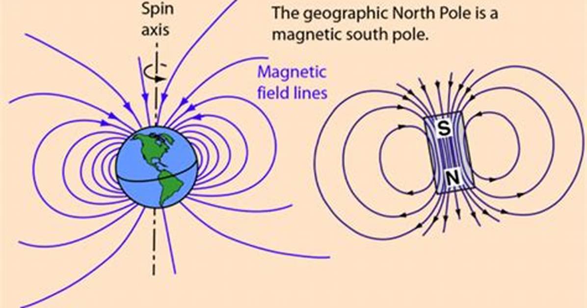 Do Magnets Affect Bees