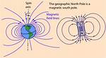Do Magnets Affect Bees