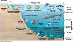 Do Many Benthic Organisms Live?