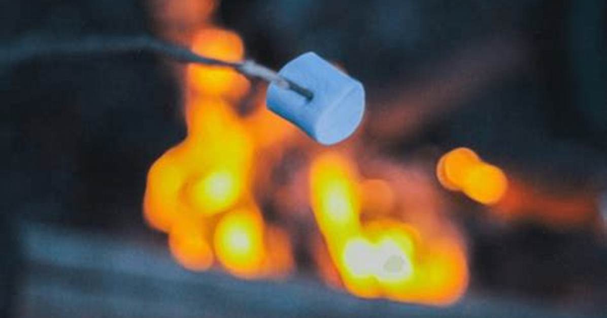 Do Marshmallows Have Eggs?