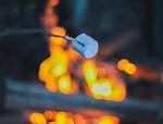 Do Marshmallows Have Eggs?