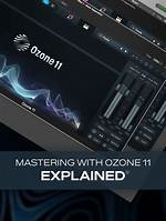 Do Mastering Engineers Use Ozone?