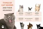 Do Meows Mean Anything?