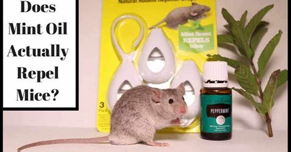 Do Mice Like Peppermint