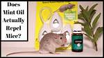 Do Mice Like Peppermint