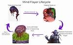 Do Mind Flayers Have Names?