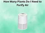 Do Moina Need Air?