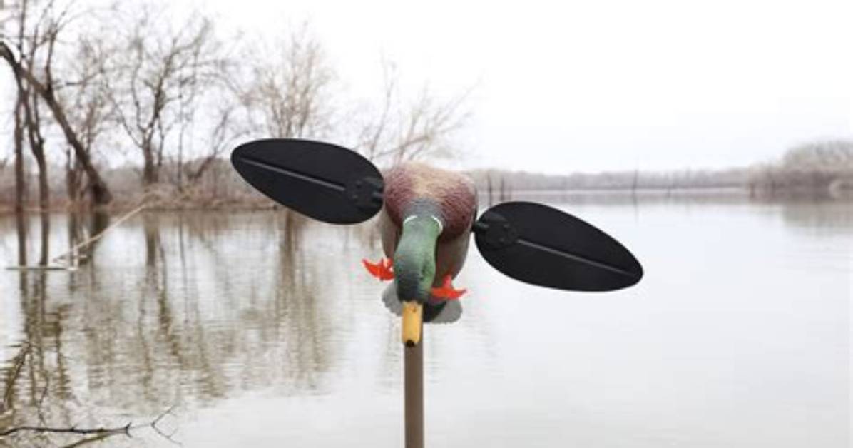 Do Mojo Decoys Work?