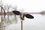 Do Mojo Decoys Work?