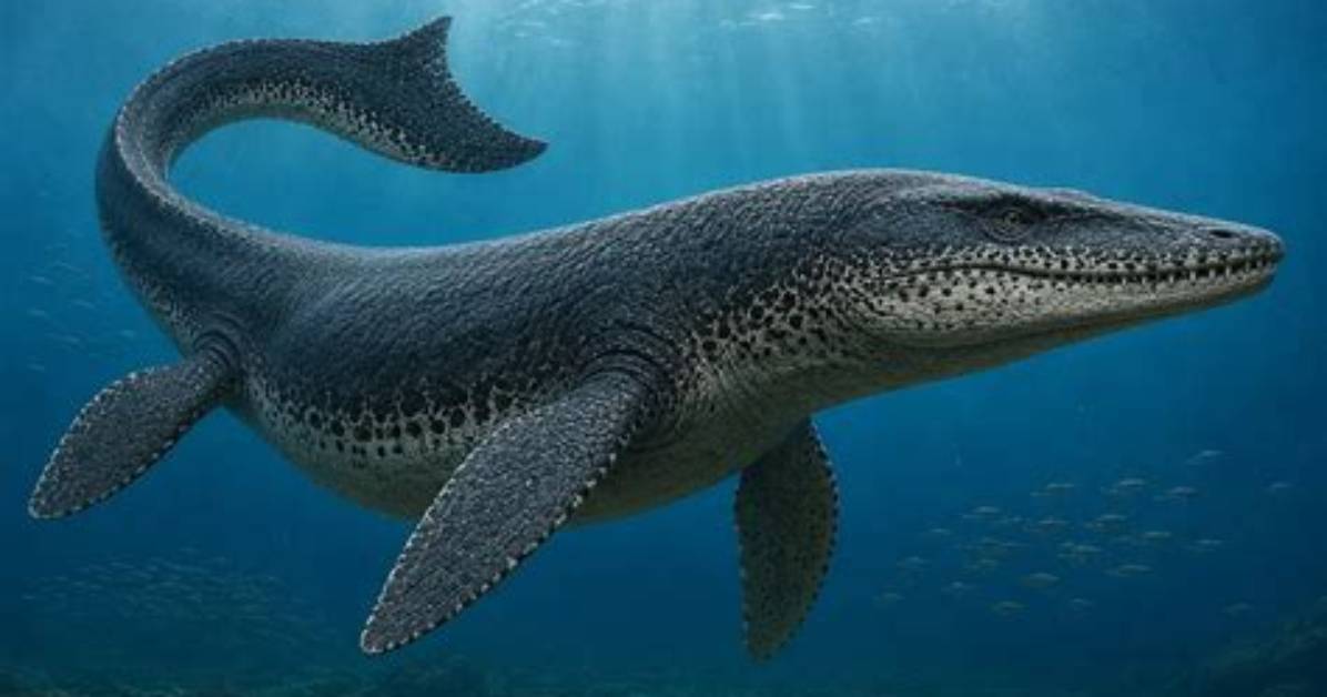 Do Mosasaurus Still Exist?