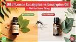 Do Mosquitoes Like Eucalyptus?
