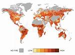 Do Most Wildfires Occur?