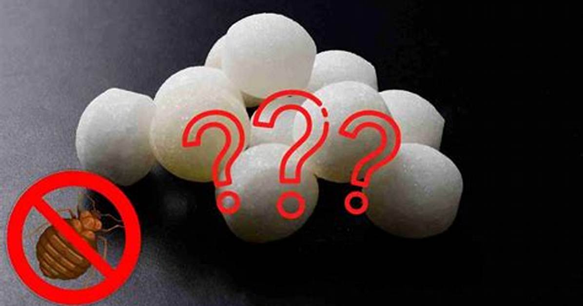 Do Moth Balls Keep Bed Bugs Away