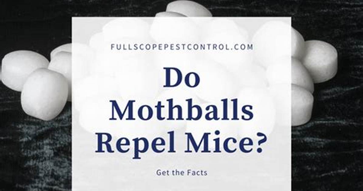Do Mothballs Repel Mice